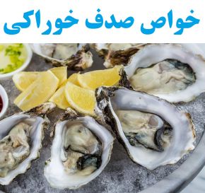 فروش صدف خوراکی برای رستوران های دریایی