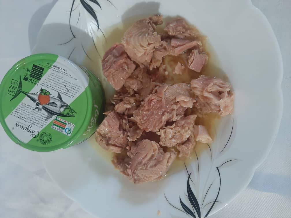 بازار انواع کنسرو ماهی