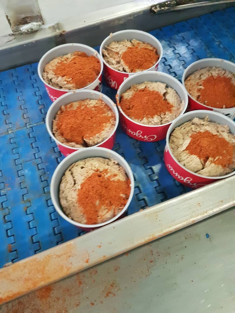 قیمت کنسرو ماهی در روغن گیاهی