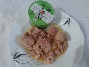 سفارش کنسرو تن ماهی