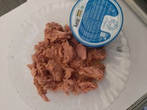 فروش کنسرو تن ماهی