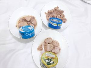 فروش کنسرو تن ماهی