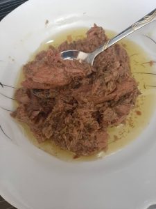 فروش کنسرو تن ماهی ساده