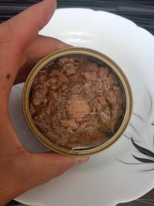 فروش کنسرو تن ماهی ساده