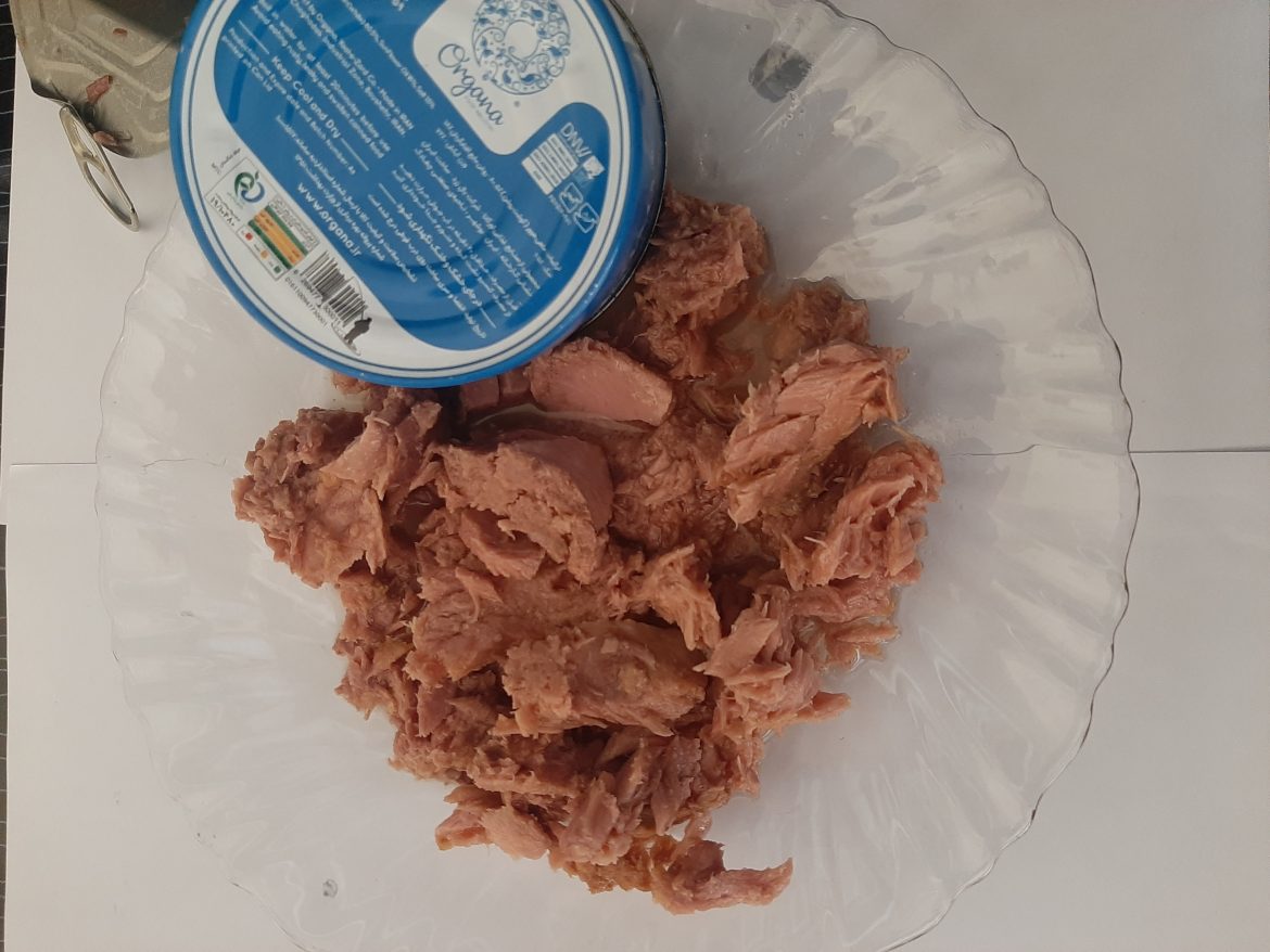 قیمت تن ماهی ۱۸۰ گرمی